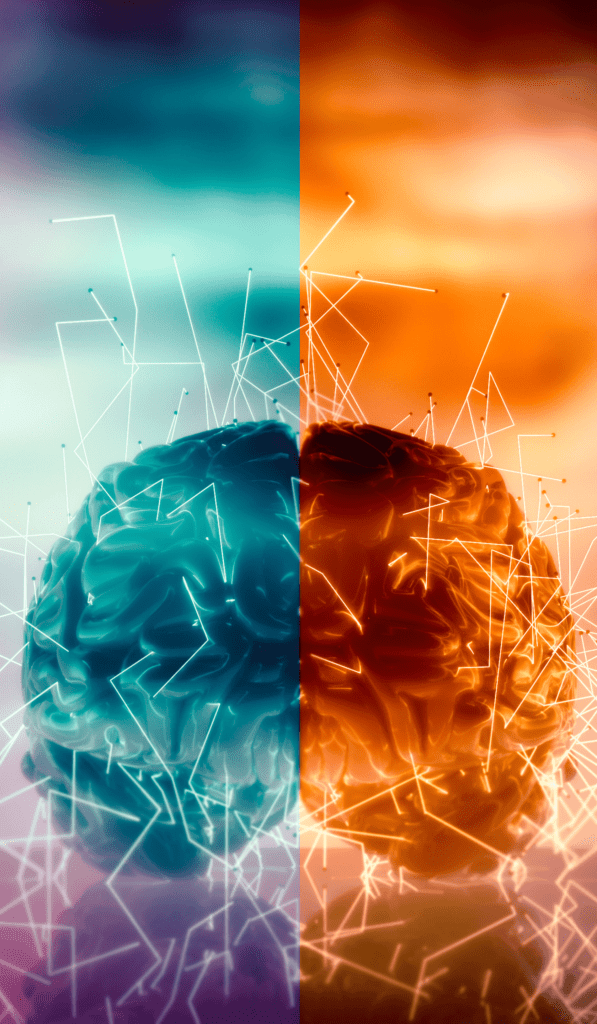brain part portrait